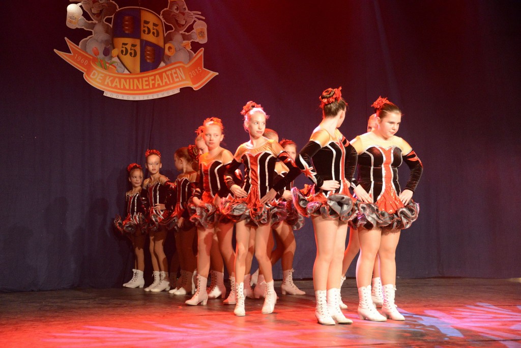 ../Images/Dansmarieke festival 2015 125.jpg
